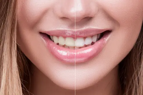 - Sage Brush Dental Health